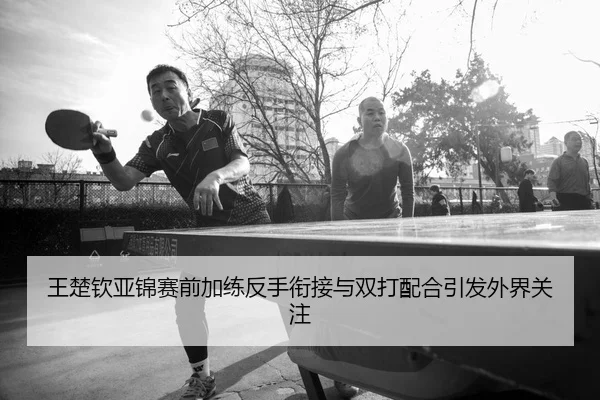 王楚钦亚锦赛前加练反手衔接与双打配合引发外界关注